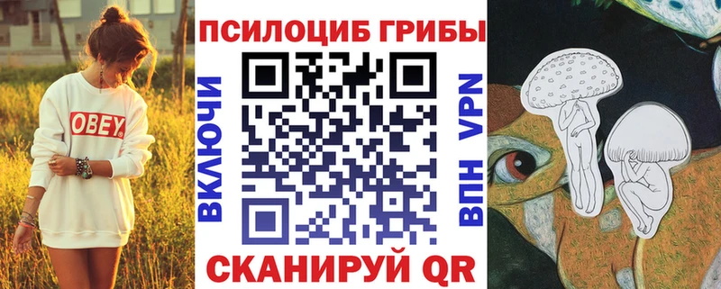 Псилоцибиновые грибы MAGIC MUSHROOMS Брянск